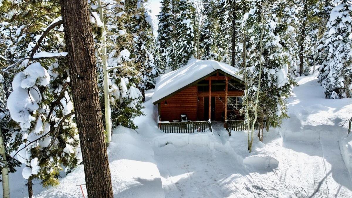 Lovely Log Cabin With Fire Pit! Duck Creek Village Exterior photo